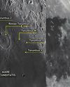 MOONWATCH MOONWATCH19