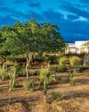 Nurturing NATURE-The Story of Kraal Garden's Transformation