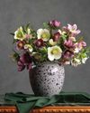 Blooming beautiful!16