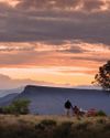 Rewilding the Karoo