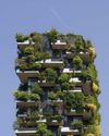 The Real Path to Net zero10