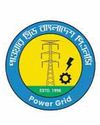 Power Grid Revenue Grows amid Persistent Losses