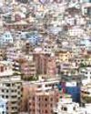 Urban Green Space Continues to Decline Globally41