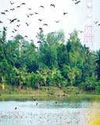 Govt to Declare 4 Areas in 4 Dists as 'Special Biodiversity Conservation Area'49
