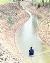 Climate Change Intensifies Drought Risks in Barind Region: Experts44