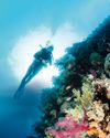 Dive into Discoveries0