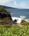 MAUI IN RECOVERY2