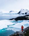 ANTÁRTIDA Y MALVINAS Navegando entre hielo, ballenas y pingüinos Viajar