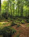 NAVARRA Viajar
