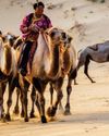 DESIERTO DE GOBI22