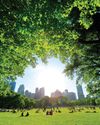"Los parques urbanos son espacios vitales que hay que reivindicar y valorar"19