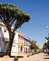 CALLE SAN AGUSTÍN, SAN CRISTÓBAL DE LA LAGUNA (TENERIFE)19