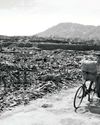 'There Are No Civilians in Japan' Newsweek Europe