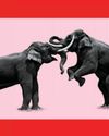 College Republicans Civil War2