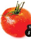 Boo to Rotten Timing of Tomato Price Hike Boo to Rotten Timing of Tomato Price Hike2