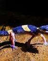 Gecko Quest! Gecko Quest!
