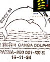 Dolphin DILEMMA! Dolphin DILEMMA!