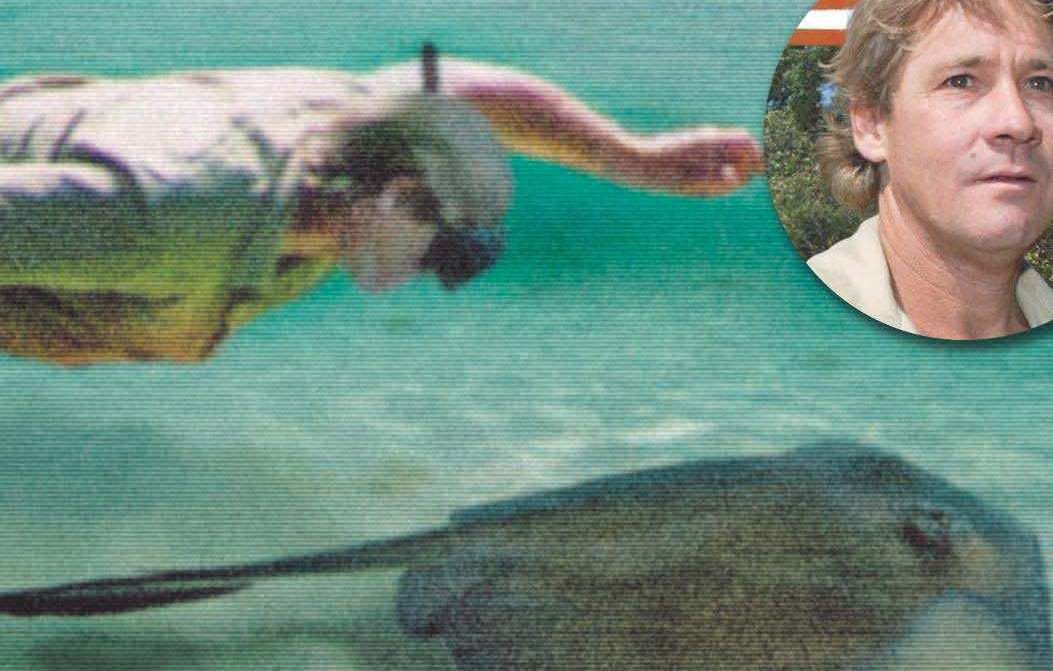 Steve Irwin Death Footage