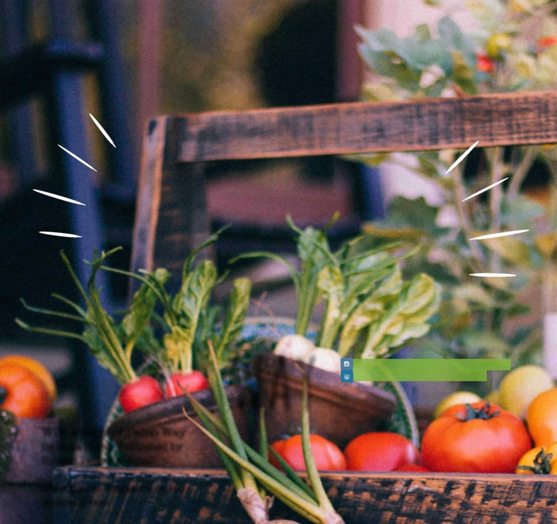 Living Life The Paleo Way