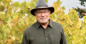 A Grower Of Wine