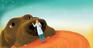5 Myths About Pet Health