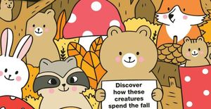 Animals in Autum!
