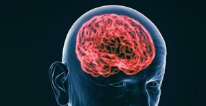 New Hopes and Fears for Alzheimer's Patients