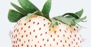 Driscoll's Is Breeding The Fruit Of The Future