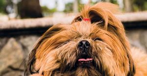 WHO'S a good business model? It's YOU! Yes it is! You're SUCH a good business model! Yes you are!