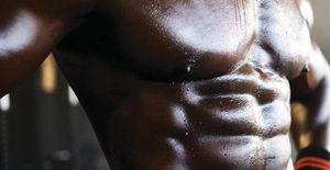 The Science of Fat Burning