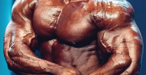 Don't count the butcher out! Brett wilkin still has a world of potential