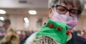 CFA Christmas Traditions