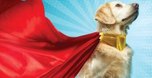 Hero Pets