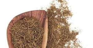 Berberine Benefits