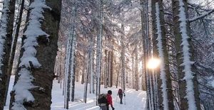 Warm Up to Winter