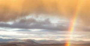 The 3 Magic Filters