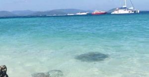The Incredible Phi Phi Islands