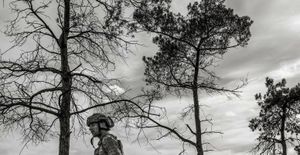 A reporter at large – Trapped in the Trenches